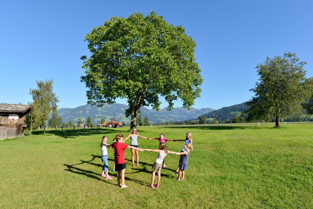 Ferienhaus Hinterebenhub Hopfgarten im Brixental Exteriör bild