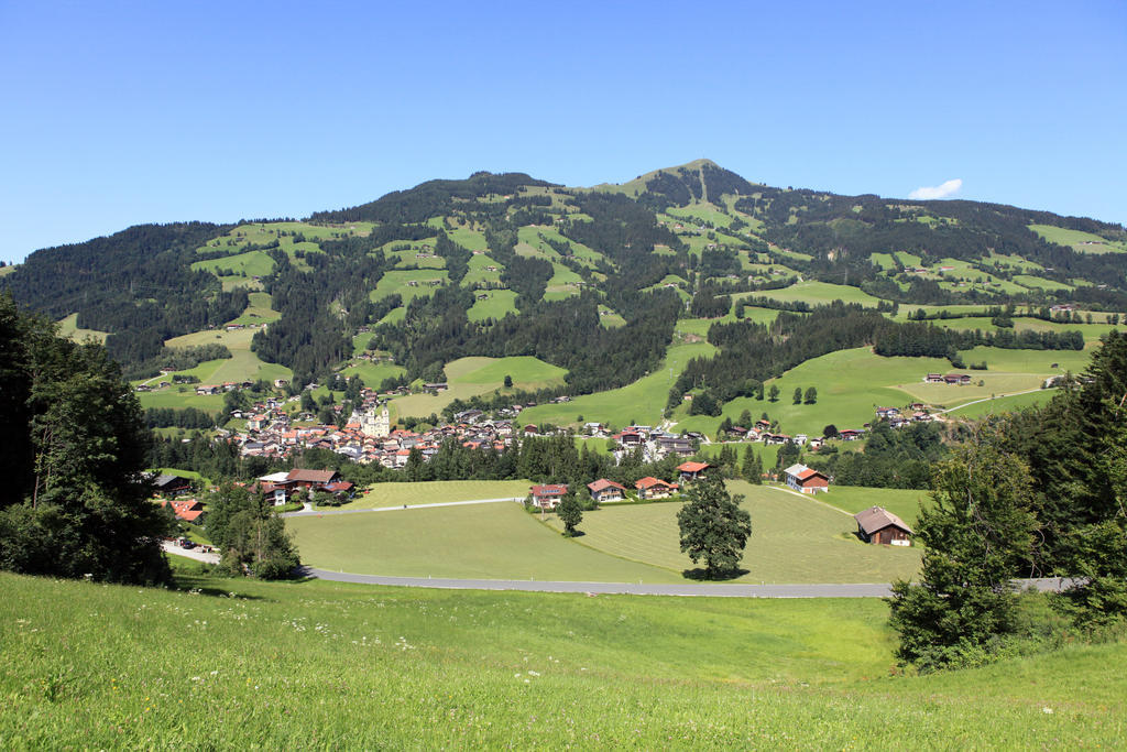 Ferienhaus Hinterebenhub Hopfgarten im Brixental Exteriör bild